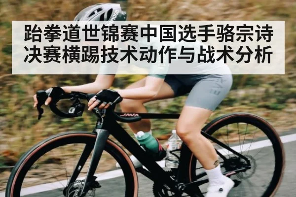 跆拳道世锦赛中国选手骆宗诗决赛横踢技术动作与战术分析